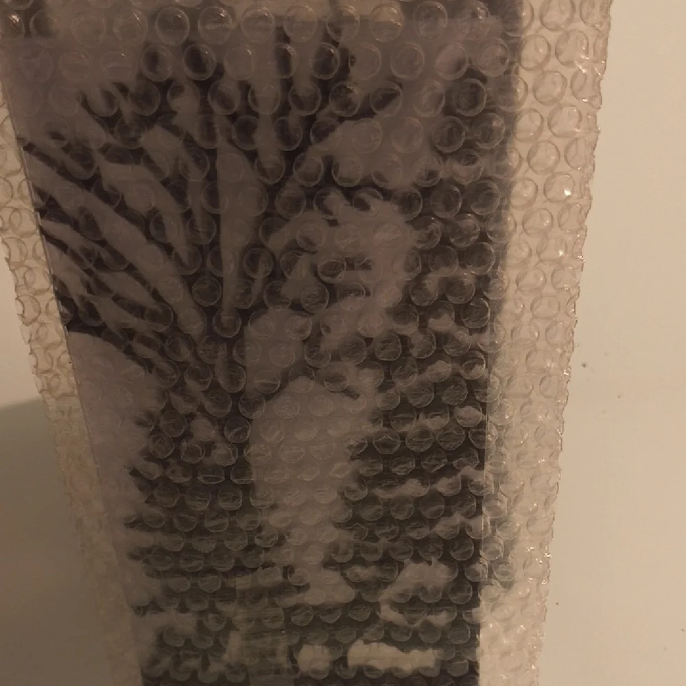 ElegantTwo Seasons Black Lantern with Leaf Design